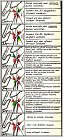 Klicke auf die Grafik für eine größere Ansicht 

Name:	Strbg_Nord.jpg 
Hits:	274 
Größe:	142,2 KB 
ID:	735425