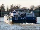Klicke auf die Grafik für eine größere Ansicht 

Name:	Paco am Hafen Riesenbeck von achtern.jpg 
Hits:	103 
Größe:	181,3 KB 
ID:	213361