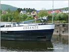 Klicke auf die Grafik für eine größere Ansicht 

Name:	Celeste  02326407 f Zwijndrecht 29.04.2015 Freudenberg 800.jpg 
Hits:	66 
Größe:	110,0 KB 
ID:	537232