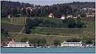 Klicke auf die Grafik für eine größere Ansicht 

Name:	Kreuzlingen + Meersburg 20150710 Meersburg.jpg 
Hits:	191 
Größe:	99,8 KB 
ID:	551302