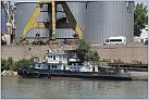 Klicke auf die Grafik für eine größere Ansicht 

Name:	10 MZS Danube Grace - 46000031 - 16.06.2016.JPG 
Hits:	80 
Größe:	125,8 KB 
ID:	630268