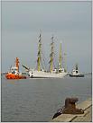 Klicke auf die Grafik für eine größere Ansicht 

Name:	Gorch Fock_70.JPG 
Hits:	86 
Größe:	48,8 KB 
ID:	68831