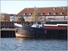 Klicke auf die Grafik für eine größere Ansicht 

Name:	Aken  12-10-18 in Stralsund (3).JPG 
Hits:	163 
Größe:	210,9 KB 
ID:	740822