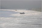 Klicke auf die Grafik für eine größere Ansicht 

Name:	Rheinschiffe im Morgennebel 2012-07-22 Ndh.jpg 
Hits:	84 
Größe:	51,9 KB 
ID:	785614