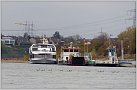 Klicke auf die Grafik für eine größere Ansicht 

Name:	Deutsches Eck 2020.11.17 Di. 116-D Deutsches Eck & Köln &  RHEINFAEHRE  MONDORF in Mondorf Rhein.jpg 
Hits:	67 
Größe:	92,6 KB 
ID:	844060