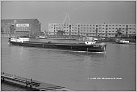 Klicke auf die Grafik für eine größere Ansicht 

Name:	Wi W15-  VALZEINA am 19.11.1950 in Mannheim  Foto S. Wilk  Archiv Rolf Diesler T.jpg 
Hits:	229 
Größe:	329,9 KB 
ID:	904984