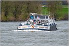 Klicke auf die Grafik für eine größere Ansicht 

Name:	River Pride TMS 2024-03-24 Xanten Rhein KM 823 zu Berg (5).jpg 
Hits:	11 
Größe:	745,9 KB 
ID:	980498