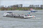 Klicke auf die Grafik für eine größere Ansicht 

Name:	River Pride TMS 2024-03-24 Xanten Rhein KM 823 zu Berg (8).jpg 
Hits:	12 
Größe:	723,7 KB 
ID:	980501