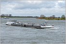 Klicke auf die Grafik für eine größere Ansicht 

Name:	River Pride TMS 2024-03-24 Xanten Rhein KM 823 zu Berg (10).jpg 
Hits:	10 
Größe:	640,8 KB 
ID:	980503