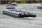 Klicke auf die Grafik für eine größere Ansicht 

Name:	Aquaship TMS 2023-10-03 Xanten Rhein KM 823 zu Berg (4).jpg 
Hits:	17 
Größe:	954,8 KB 
ID:	960773