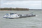 Klicke auf die Grafik für eine größere Ansicht 

Name:	River Pride TMS 2024-03-24 Xanten Rhein KM 823 zu Berg (16).jpg 
Hits:	10 
Größe:	662,4 KB 
ID:	980507