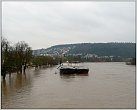 Klicke auf die Grafik für eine größere Ansicht 

Name:	Hochwasser Marktheidenfeld 16.1.2011 a 5.jpg 
Hits:	188 
Größe:	320,4 KB 
ID:	675708